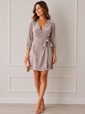 J.Crew Drapey Velvet Wrap Dress Oyster Gray Silver Size 4 Cocktail Party NWT